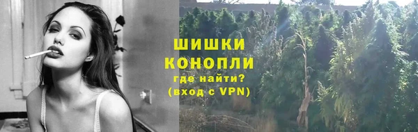 индика Волосово