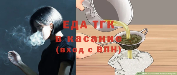 индика Волосово