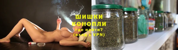 индика Волосово