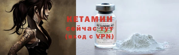 индика Волосово