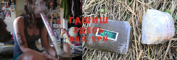 индика Волосово