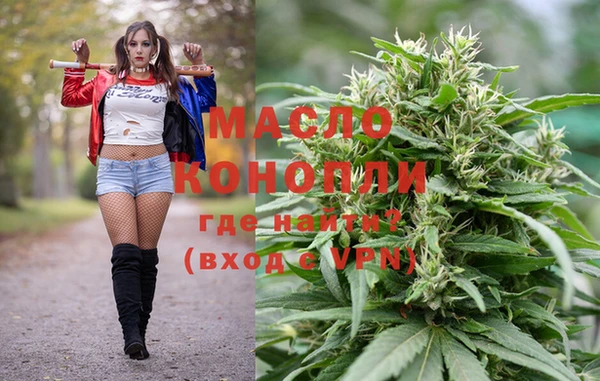индика Волосово