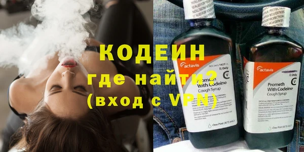 индика Волосово