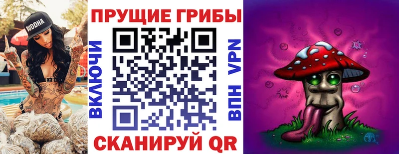 Купить закладки  Верхний Тагил  Галлюциногенные грибы Psilocybine cubensis 